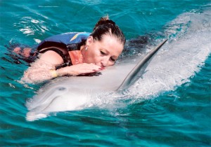 dolphin Lee swimming with dolphins